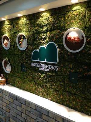 マウンテンカレー　(mountain curry)