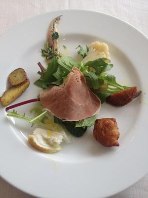 ティ・ピッキオ （TI PICCHIO）