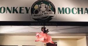 モンキーモカ コーヒープラスモア