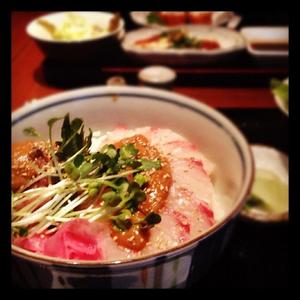 たまたま 二子玉川店